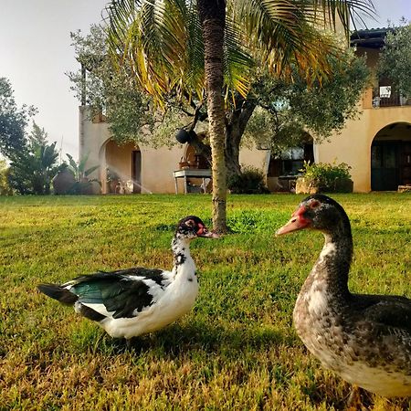 Bed and Breakfast La Finestra Sul Limone Castelvetrano Exterior foto