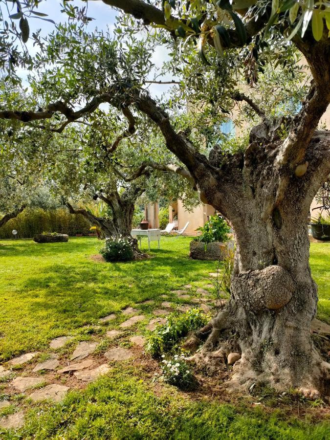 Bed and Breakfast La Finestra Sul Limone Castelvetrano Exterior foto
