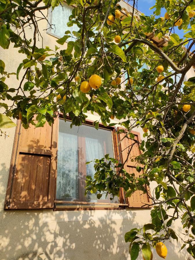 Bed and Breakfast La Finestra Sul Limone Castelvetrano Exterior foto